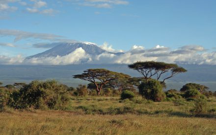 Kilimandscharo – Gipfelaufstieg durch die Nacht