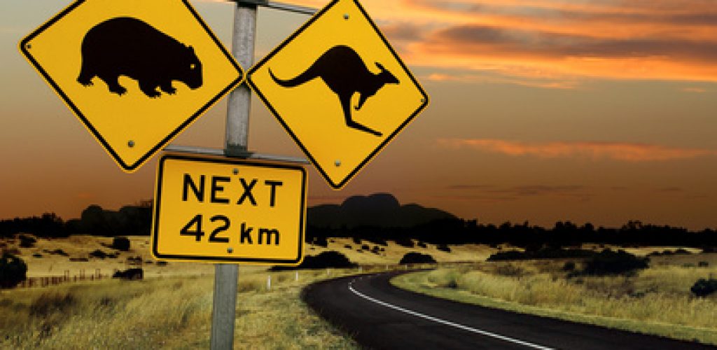 Ausflug in ein Naturparadies: Kangaroo Island im Süden von Australien