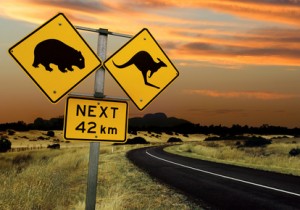 Ausflug in ein Naturparadies: Kangaroo Island im Süden von Australien