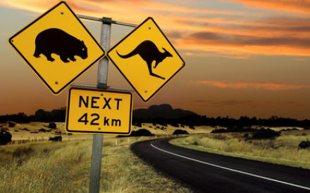 Ausflug in ein Naturparadies: Kangaroo Island im Süden von Australien