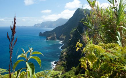 Portugiesische Blumeninsel im Atlantik: Madeira