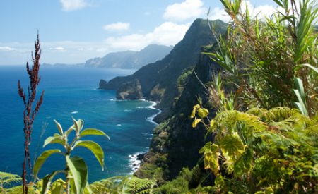 Portugiesische Blumeninsel im Atlantik: Madeira