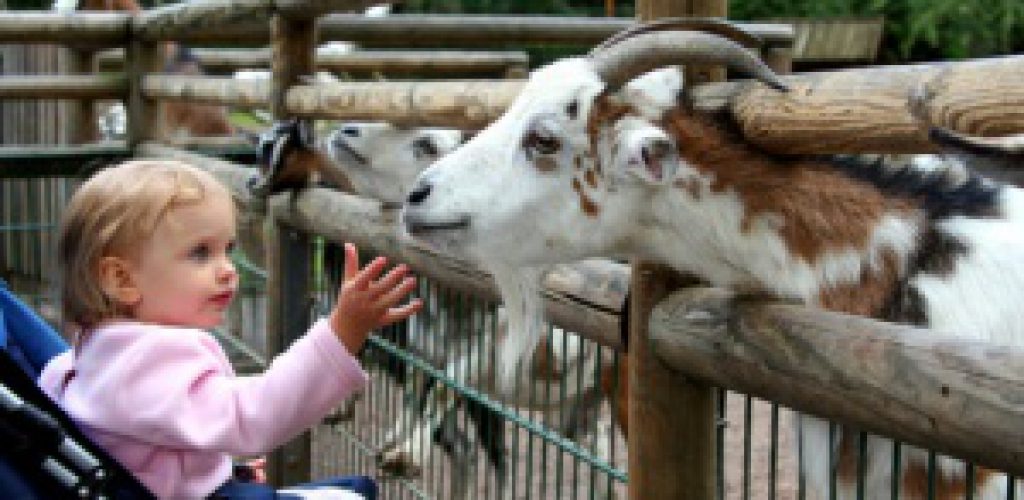 Kinderurlaub, auf was muss geachtet werden?