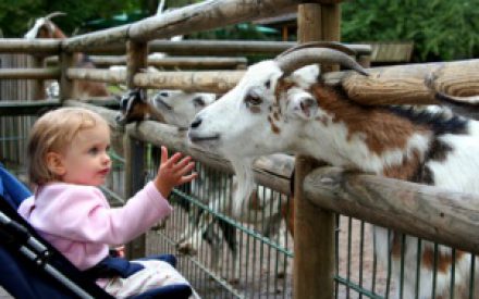 Kinderurlaub, auf was muss geachtet werden?