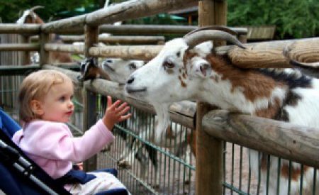 Kinderurlaub, auf was muss geachtet werden?