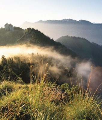 Meditatives Wandern in Bayern:<br>Auszeit für die Seele