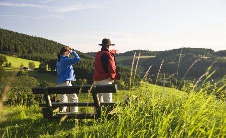 Top-Tipps fürs schöne Sauerland