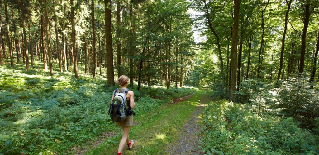 Naturlandschaft mit viel Geschichte