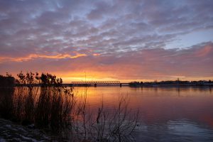 Die Elbe bei Lauenburg ist zu jeder Jahreszeit ein Erlebnis - ganz besonders für Natur- und Vogelfreunde. Foto: djd/Stadt Lauenburg/Elbe/Ulrike Sindermann 