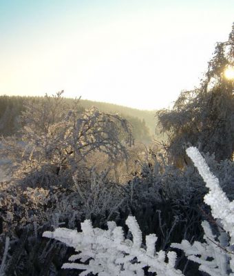 Winterspaß im Oberharz