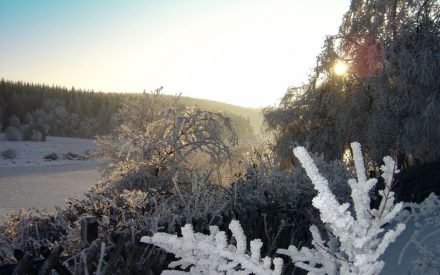 Winterspaß im Oberharz