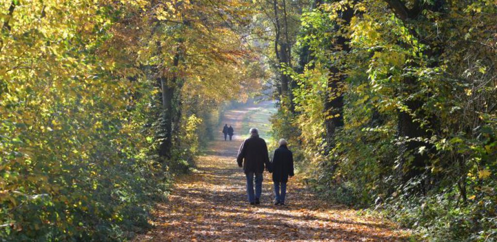Auf den Spuren eines Heiligen. Wandern im Münsterland: Unterwegs auf dem Baumberger Ludgerusweg