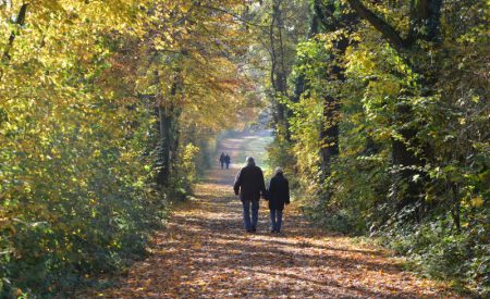 Auf den Spuren eines Heiligen. Wandern im Münsterland: Unterwegs auf dem Baumberger Ludgerusweg