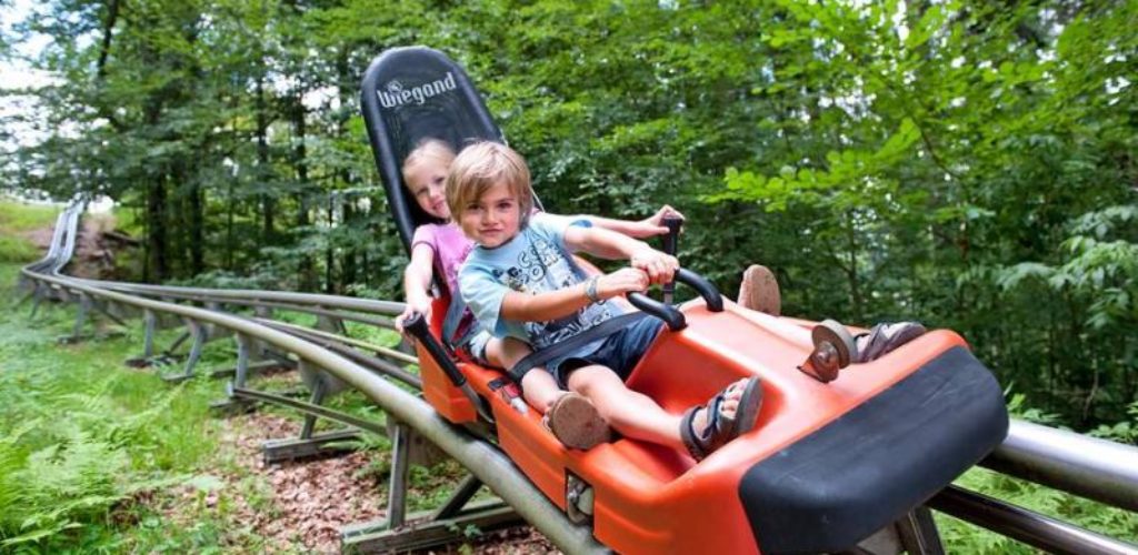 Nationalpark BayerischerWald: In Grafenau gibt es für Familien viel zu erleben