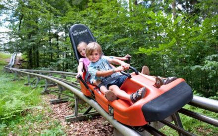 Nationalpark BayerischerWald: In Grafenau gibt es für Familien viel zu erleben