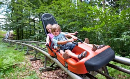 Nationalpark BayerischerWald: In Grafenau gibt es für Familien viel zu erleben