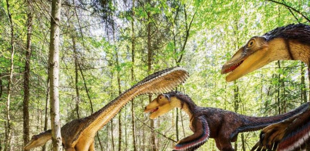 Im Dinopark im Naturpark Altmühltal wartet eine faszinierende Zeitreise