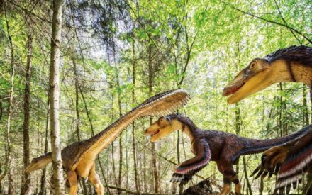 Im Dinopark im Naturpark Altmühltal wartet eine faszinierende Zeitreise