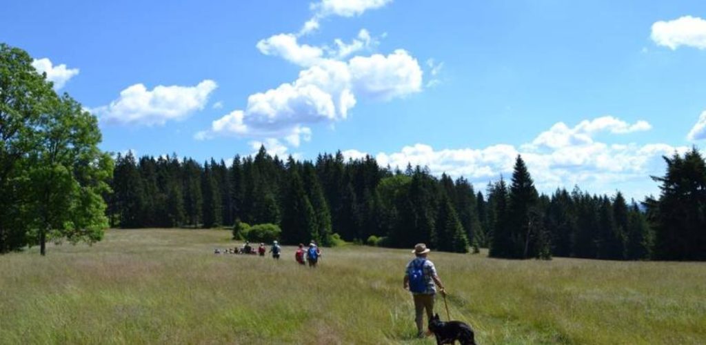 Philippsreut im Bayerischen Wald lädt zum Wanderurlaub mit Haustier ein