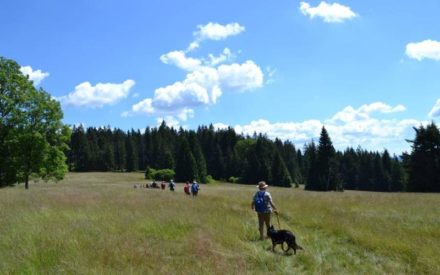 Philippsreut im Bayerischen Wald lädt zum Wanderurlaub mit Haustier ein