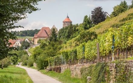 Italien in Schwaben: Die Schwäbische Toskana mit dem Fahrrad erkunden