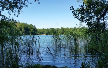 Land der 3000 Seen: So schön kann Urlaub in Brandenburg sein