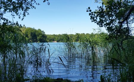 Land der 3000 Seen: So schön kann Urlaub in Brandenburg sein