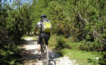 Fahrradreisen: ADFC stellt beliebteste Routen vor