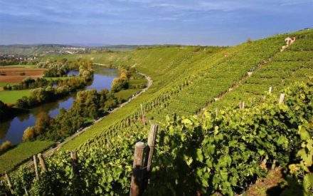 Rendezvous zum Weinwandern