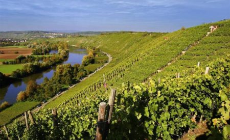Rendezvous zum Weinwandern