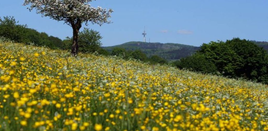 Wenn die Natur erwacht, wird gefeiert