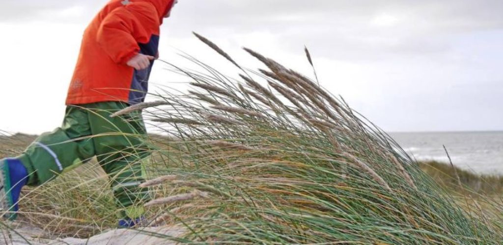 Sylt laufend entdecken