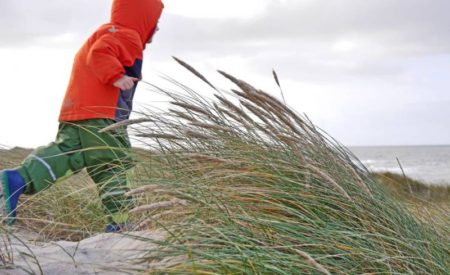 Sylt laufend entdecken